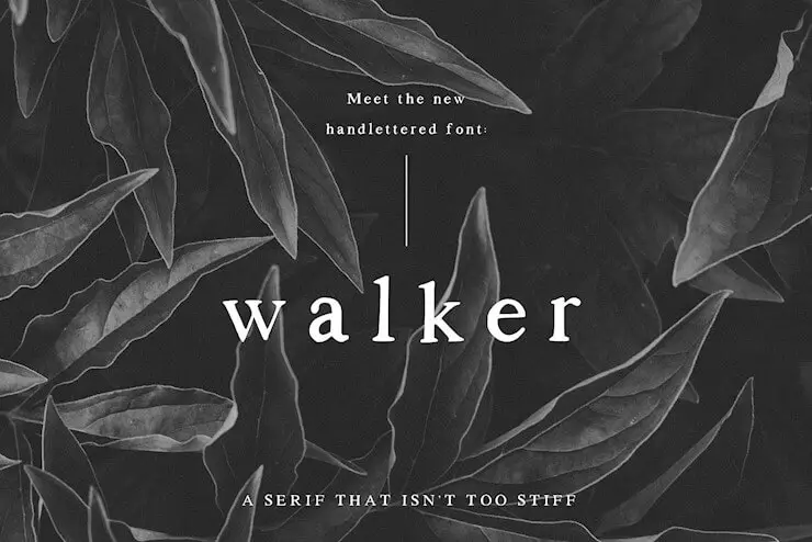 walker-a-handlettered-serif